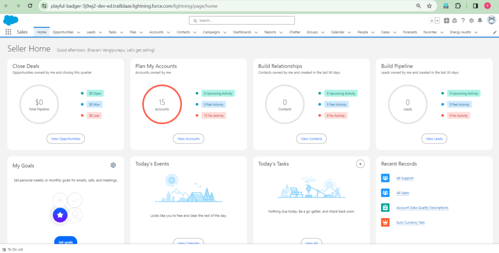 Access Salesforce Setup